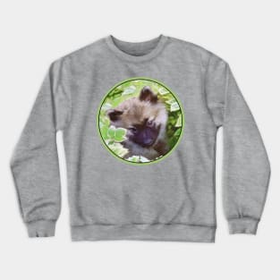 Keeshond Puppy (Brutus) Crewneck Sweatshirt